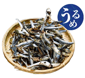 個室居酒屋 ユルギヤ正ナカ