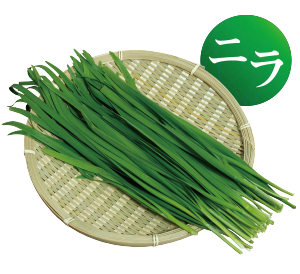 個室居酒屋 ユルギヤ正ナカ