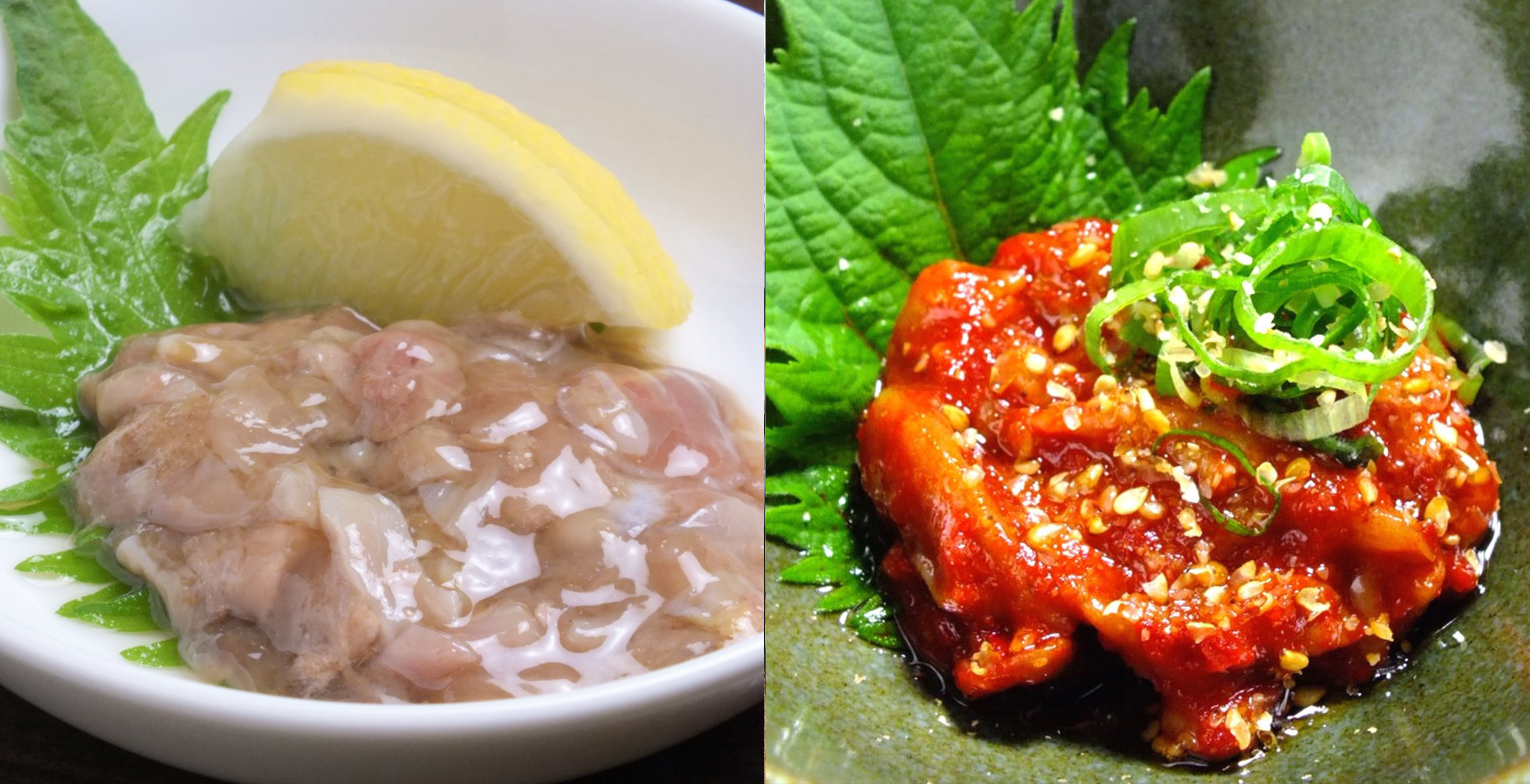 個室居酒屋 ユルギヤ正ナカ